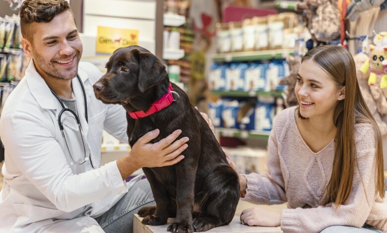 How to Provide Excellent Health Care for Your Animal Companions
