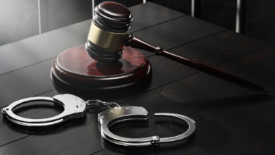 How can criminal lawyers in Dubai assist with criminal defense cases?