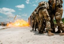 risk and oversight hotel numbers