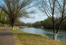 growth dynamics analysis framework