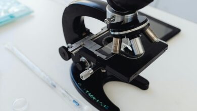 innovation pulse lens insights