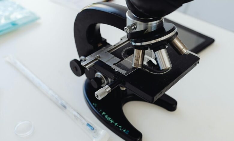 innovation pulse lens insights