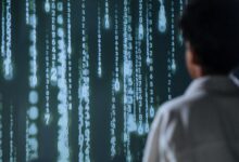 innovation vectors and numbers