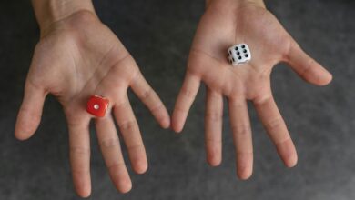 opportunity trajectory analysis report