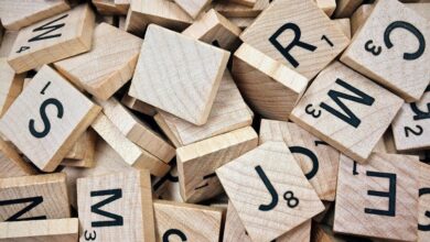 strategic nexus identification numbers