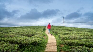 velocity horizon numeric data