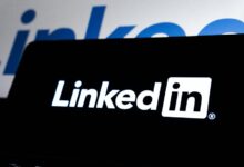 it network platform professional