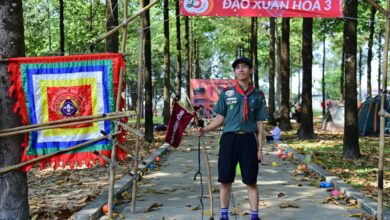 apex flow start global leadership