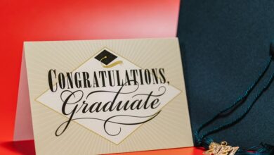 apex momentum start driving innovative achievements