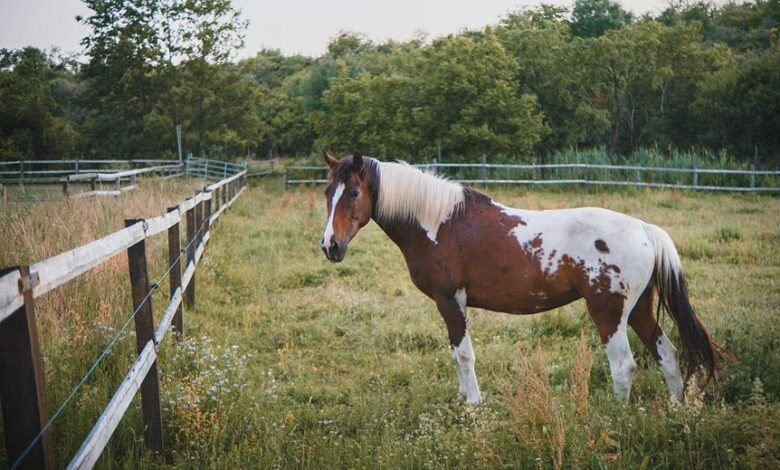 catalyst flow start 8482859635