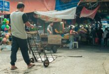 dynamic horizon driving market success