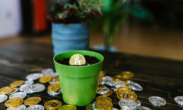 quantum leap start unlocking possibilities