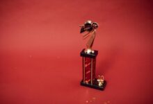 stellar flow start 8435820002