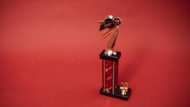 stellar flow start 8435820002