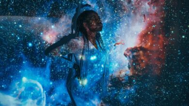 stellar flow start 8443018724