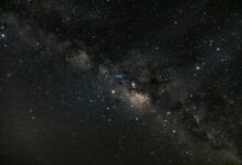 stellar horizon start 8339504390