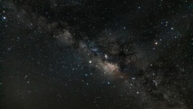 stellar horizon start 8339504390