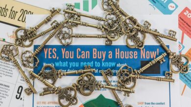 trailblazing drive market opportunity start