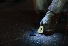 access number registry evidence details