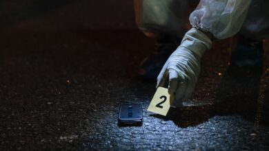 access number registry evidence details