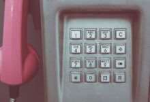 four numbered registry records searched