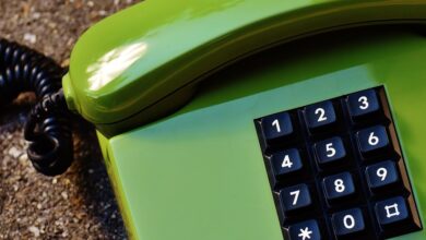 public number references search results