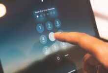 public number registry access