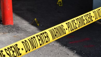 registry entries show investigations ongoing