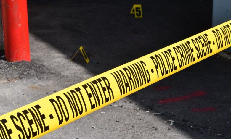 registry entries show investigations ongoing