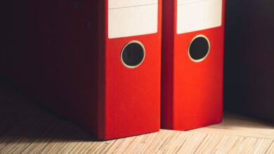 registry ids five file entries