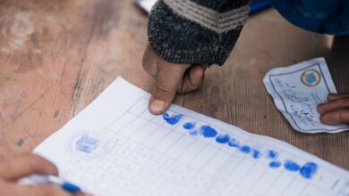 registry lookups for five ids