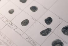 search verified registry evidence ids