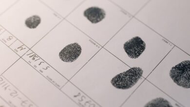 search verified registry evidence ids